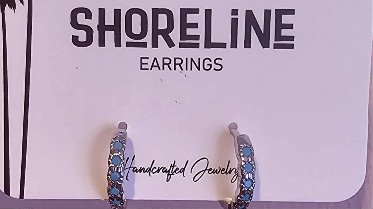 Silver/Teal Clasp Earrings