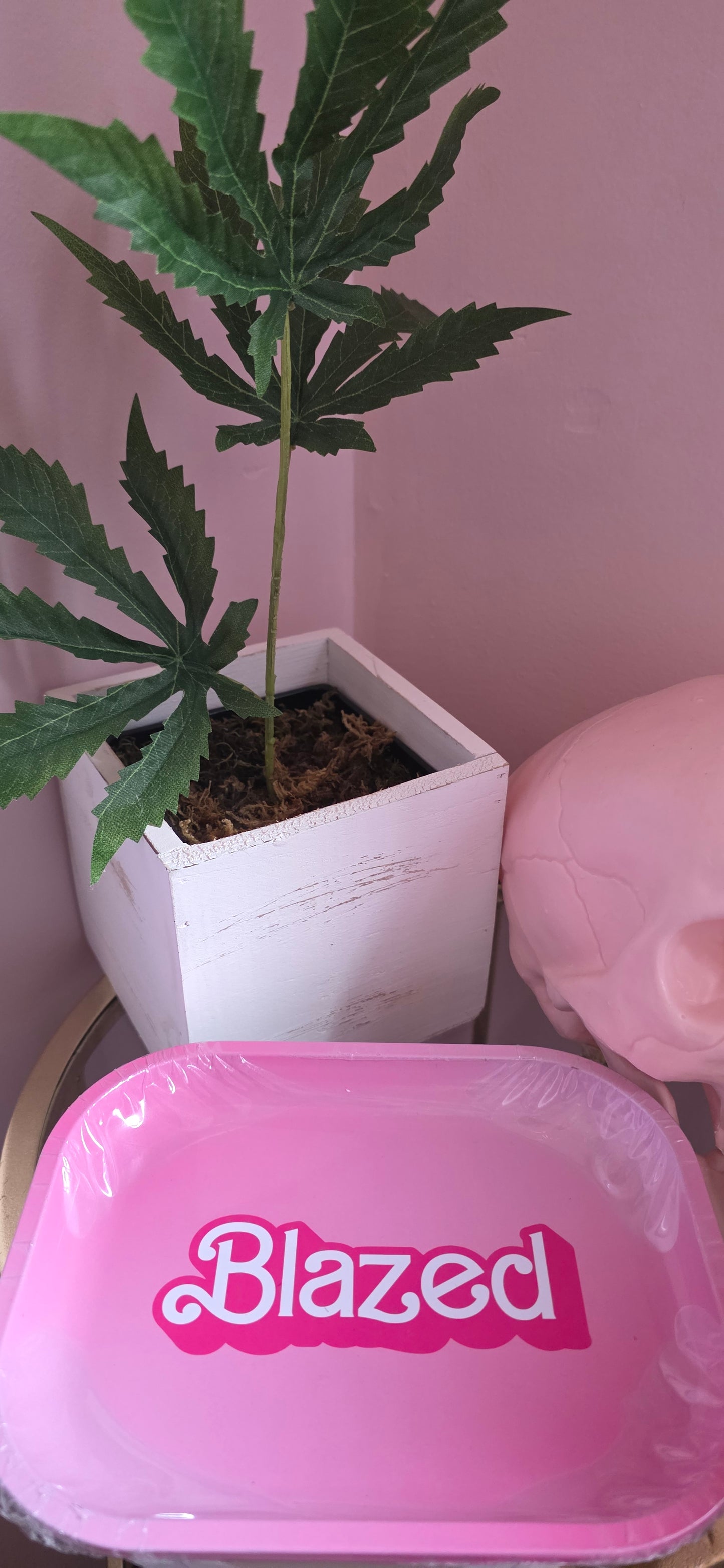 Blazed Rolling Tray