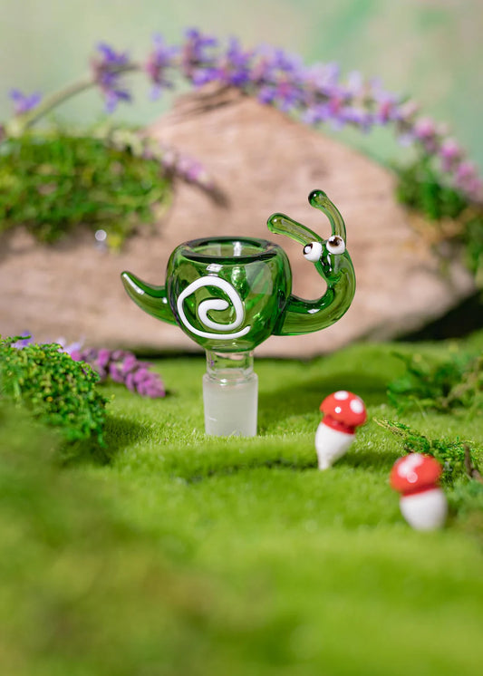 Snail bowl
