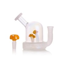 Close-up of the clear dome chamber on the Terp Tube mushroom rig showing four mushrooms with frosted yellow-tipped caps and frosted glass joint
